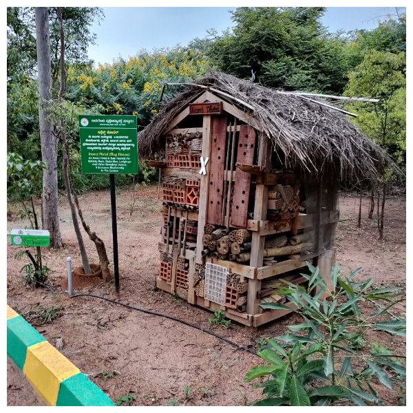 Kadugodi Tree Park Bug Hotel