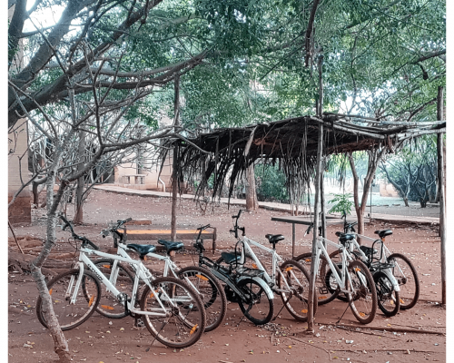 our_native_village_cycle_stand